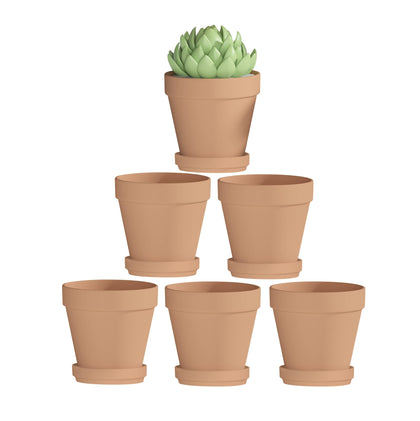 Fcacti 4-inch terracotta pot with saucer, ideal for small plants and easy floor protection.