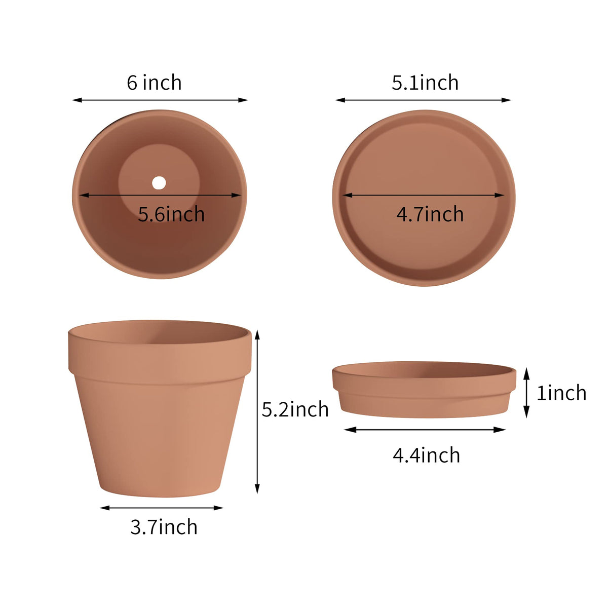 Fcacti terracotta pot close-up showing drainage hole for healthy soil