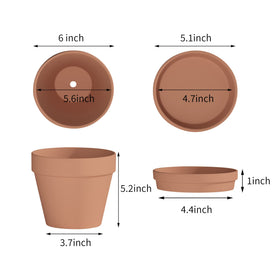 Fcacti terracotta pot close-up showing drainage hole for healthy soil