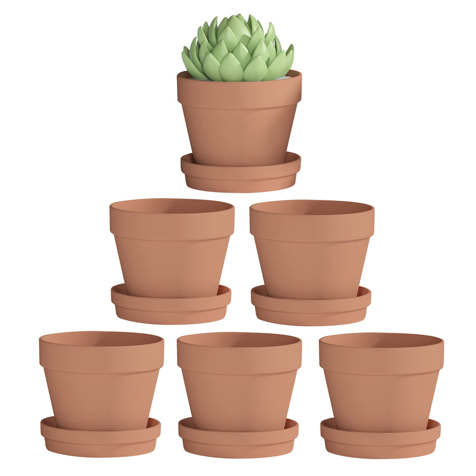 Fcacti 6-inch clay pot with saucer pair for easy water containment