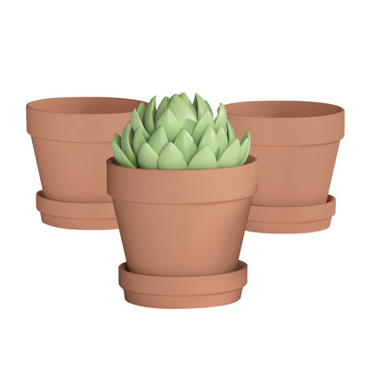 Fcacti 8-inch terracotta pot with saucer, drainage hole for healthy root growth