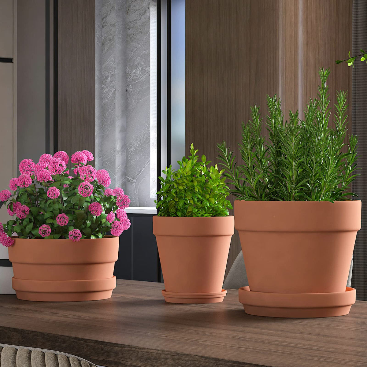 Fcacti large terracotta pot ideal for medium to large plants