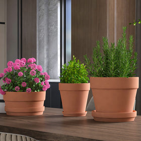 Fcacti large terracotta pot ideal for medium to large plants