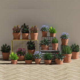 Fcacti premium terracotta pot with crack-resistant design