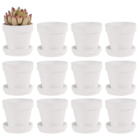 Fcacti small white terracotta pots with saucer pack shot for gifting ideas