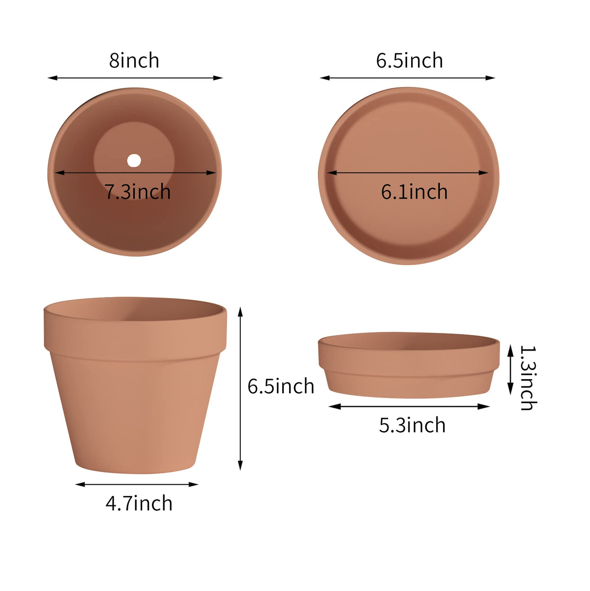 Fcacti terracotta pot close-up shows breathable clay and durable finish