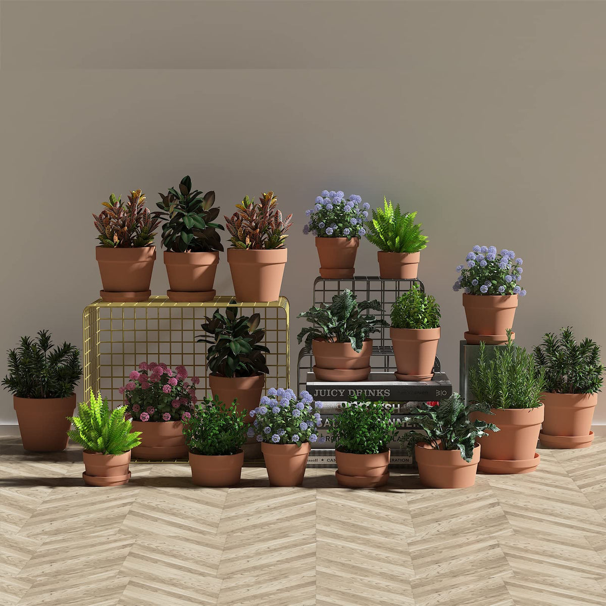 Fcacti three-pack pots with saucers for easy indoor or outdoor displays