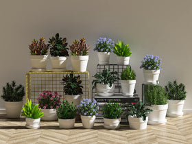 Fcacti wedding-favor pots arranged as charming keepsakes for guests