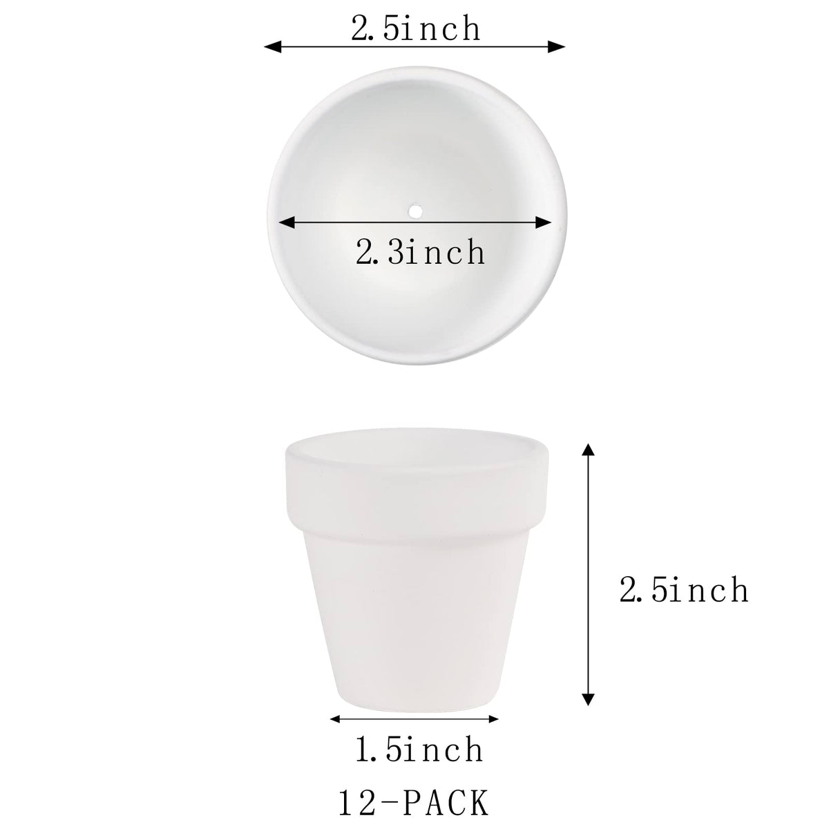Fcacti white terracotta pot 2-5 inch diameter enhances plant display and airflow