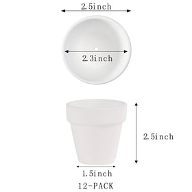 Fcacti white terracotta pot 2-5 inch diameter enhances plant display and airflow