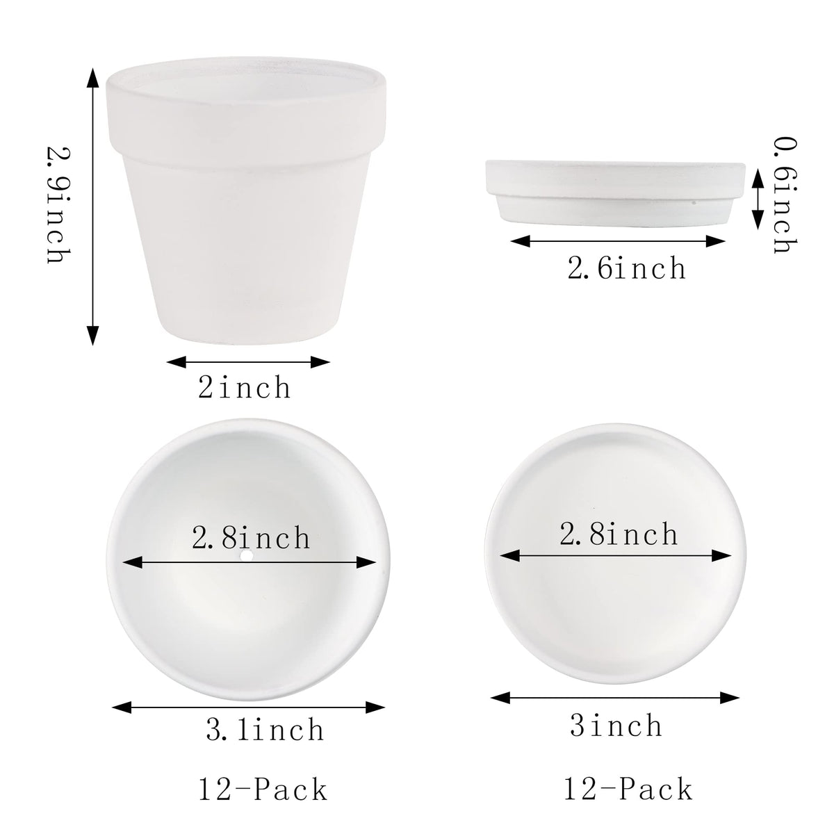 Fcacti 3-inch pots show drainage holes for healthy, well-ventilated planting