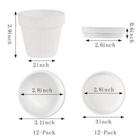 Fcacti 3-inch pots show drainage holes for healthy, well-ventilated planting