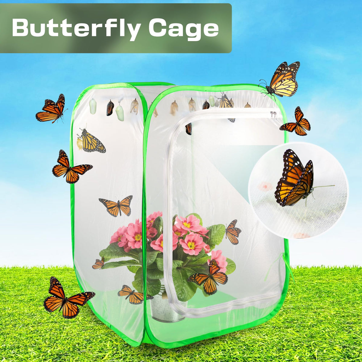 FCIHROSITCE enclosure design lets sun and air pass through to the plants