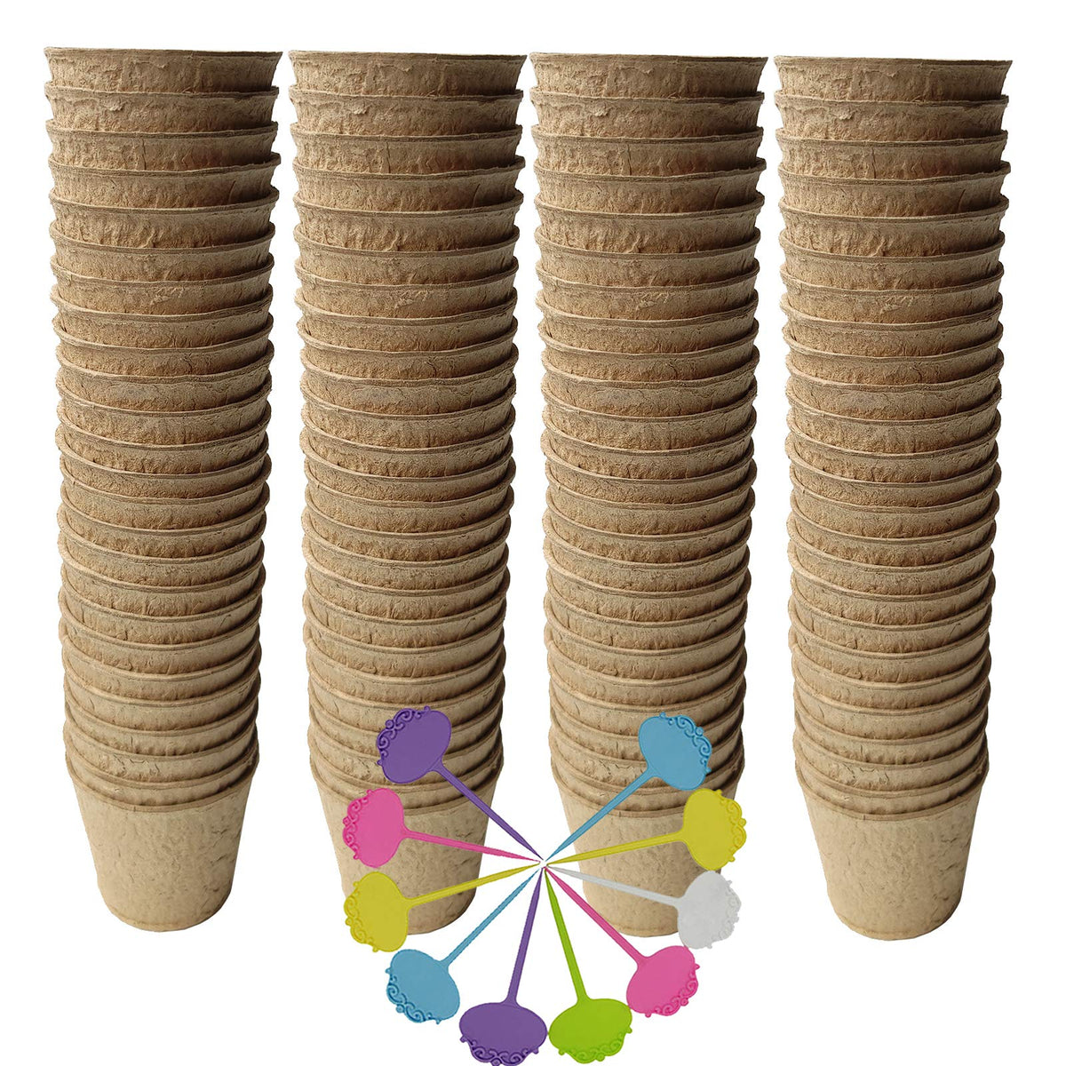 FDGARDEN biodegradable peat pots support easy transplanting of seedlings.