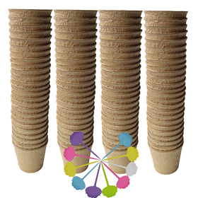 FDGARDEN biodegradable peat pots support easy transplanting of seedlings.