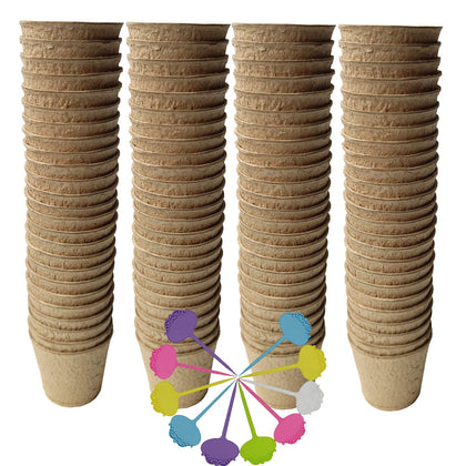 FDGARDEN biodegradable peat pots support easy transplanting of seedlings.