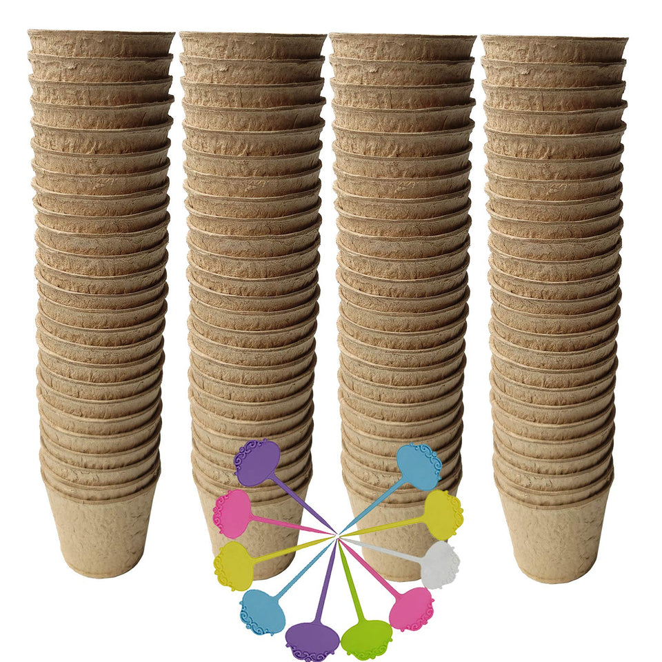 FDGARDEN biodegradable peat pots support easy transplanting of seedlings.