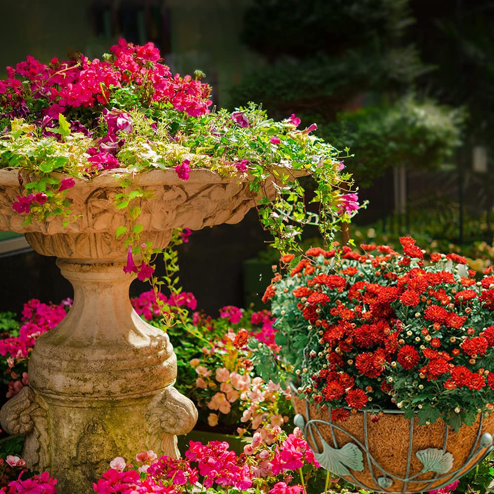 FDGARDEN coco liner preserves moisture with easy maintenance in planters.