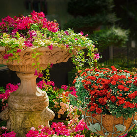 FDGARDEN coco liner preserves moisture with easy maintenance in planters.