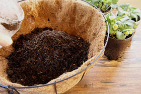 FDGARDEN coco liner provides water retention and aeration for healthier roots.