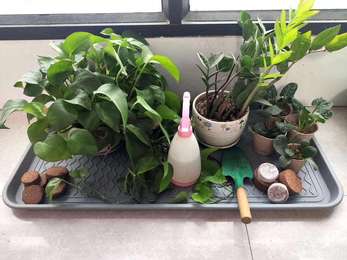 FDGARDEN eco-friendly packaging reinforces sustainable gardening choice.