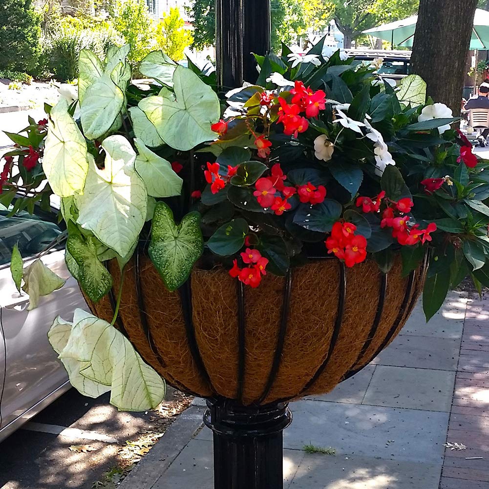 FDGARDEN hanging basket liner coco coir enhancing aeration.