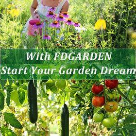 FDGARDEN nutrient-rich coconut liner provides minerals like potassium and zinc.