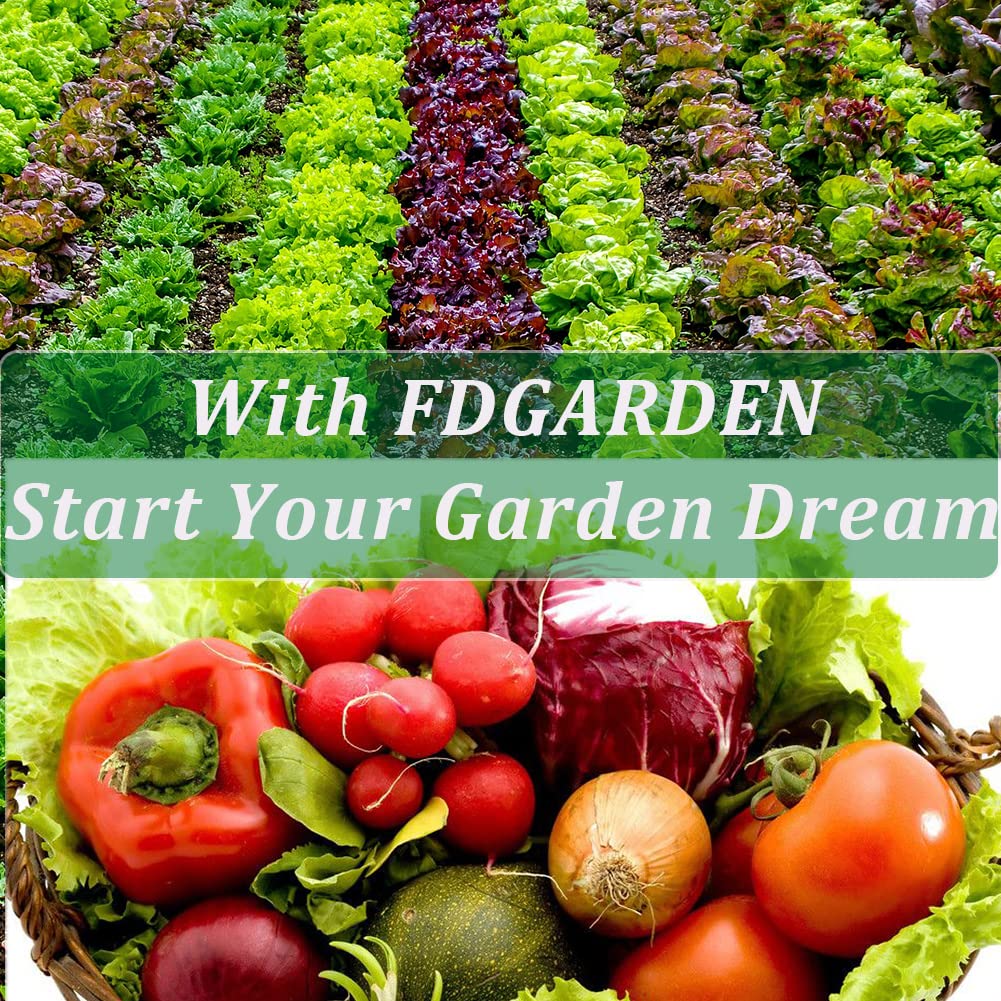 FDGARDEN outdoor seeding setup for efficient seed starting.