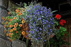 FDGARDEN pre-formed coco liner 14-inch fits round planters.