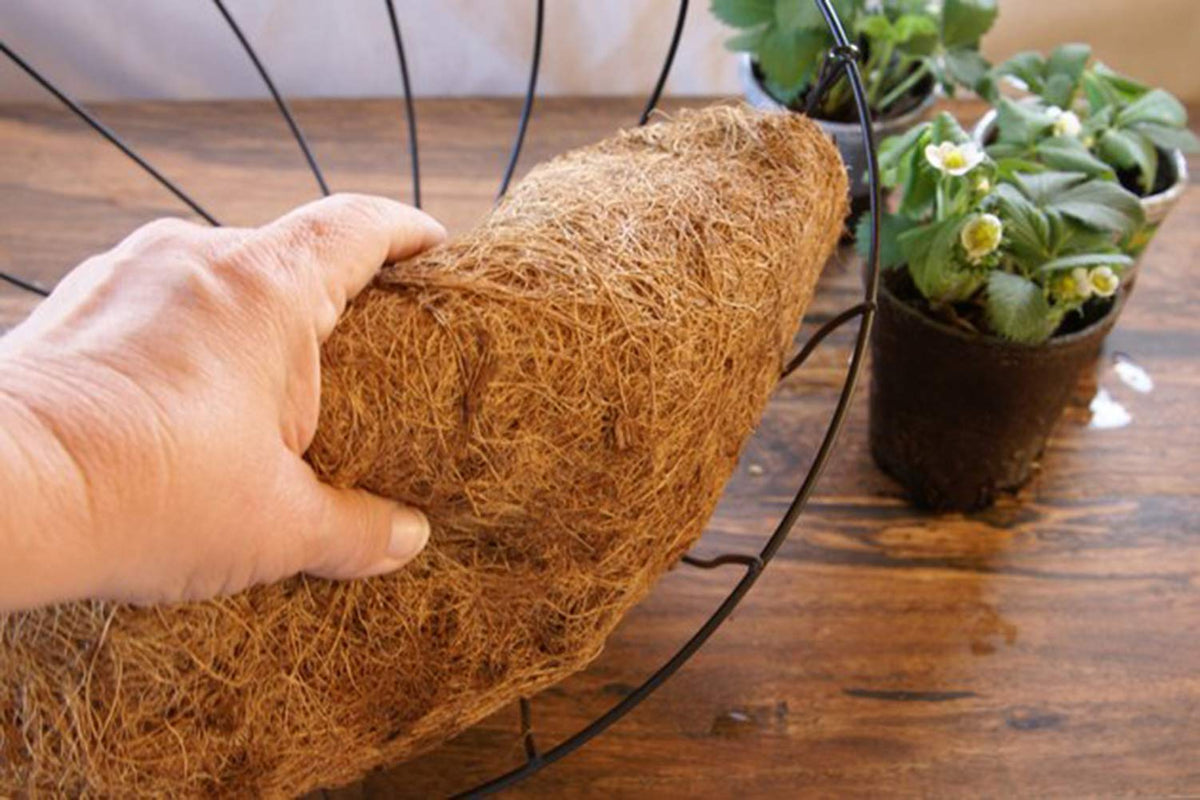 FDGARDEN pre-formed coco liner securely fits baskets for easy setup.