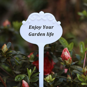 FDGARDEN transplant-ready pots simplify garden transition.