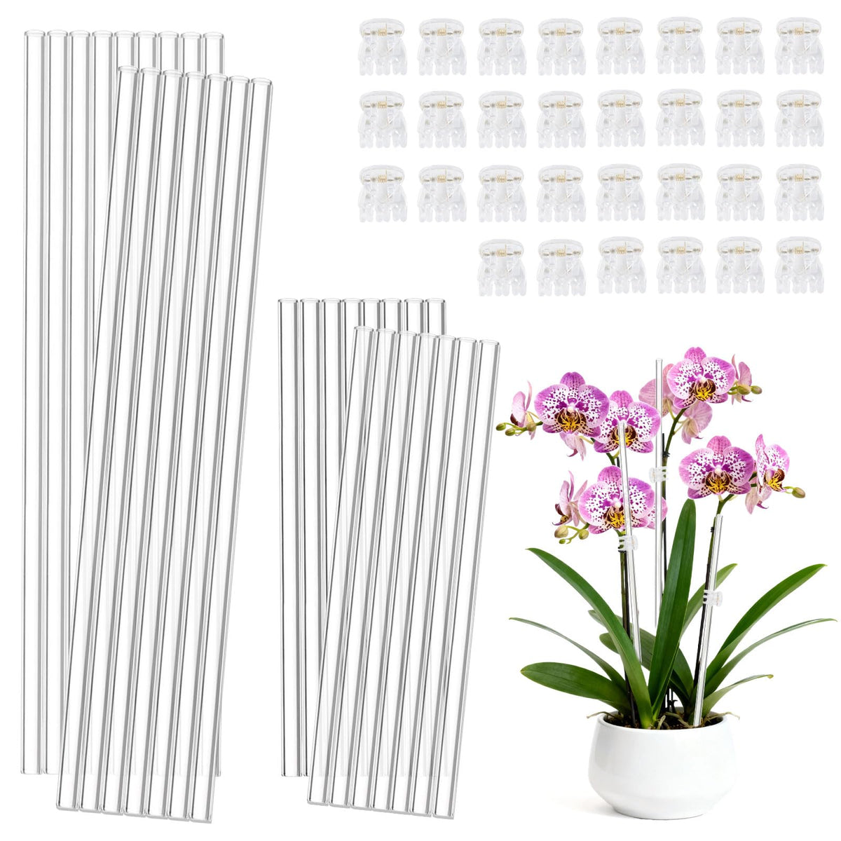 FDKYOEK 60pc orchid stakes and clips set supporting upright growth for potted plants