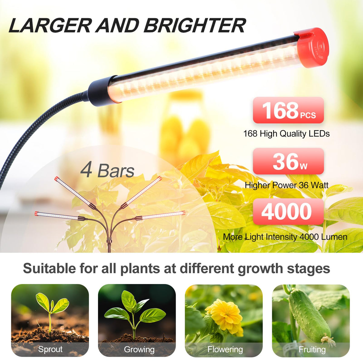 FECiDA 2026 4Head on desk setup powering indoor plants and bonsai