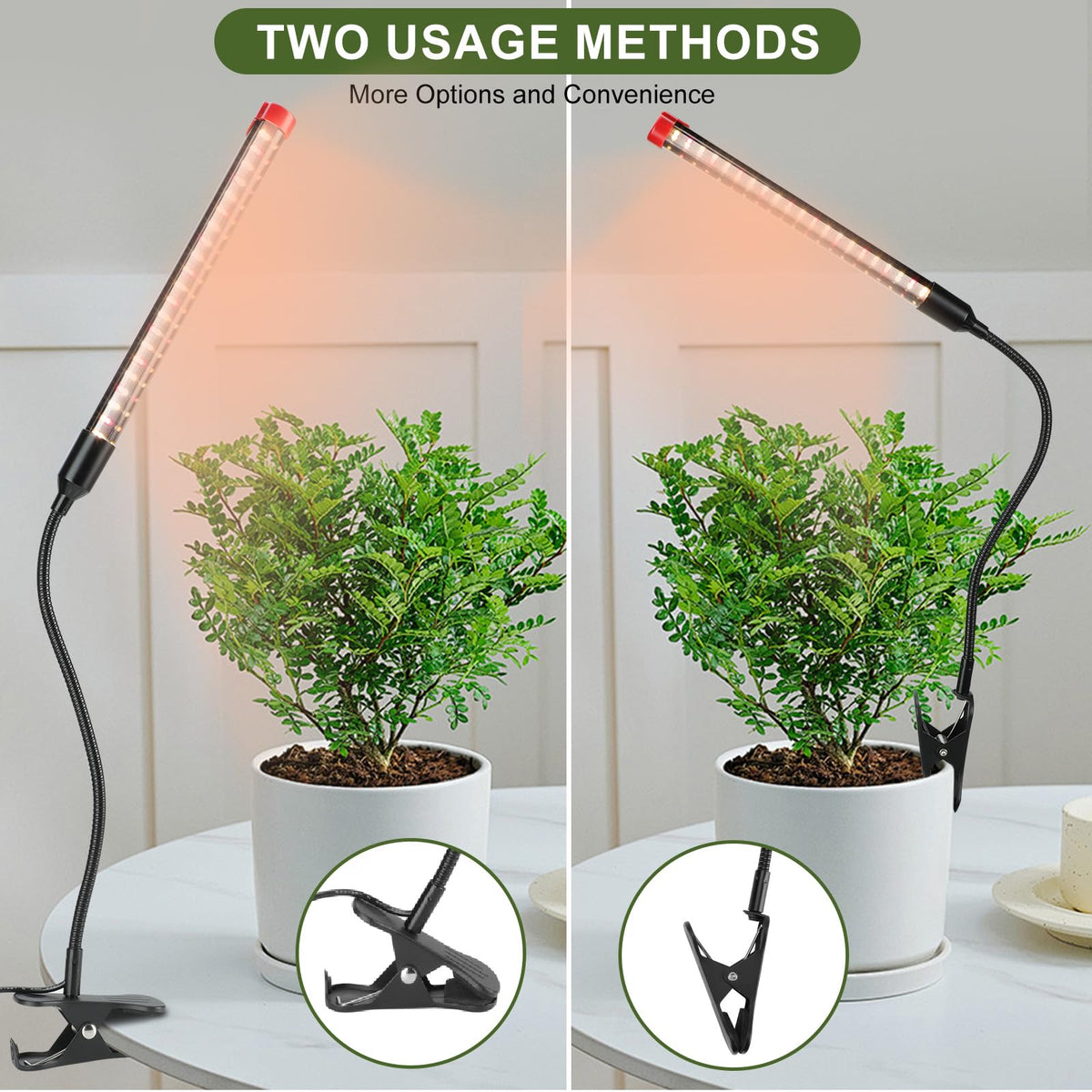 FECiDA 9W full-spectrum LED delivers natural-like brightness for bonsai.