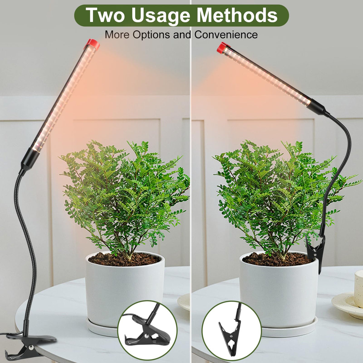 FECiDA clip-on bonsai light providing full-spectrum illumination for bonsai care