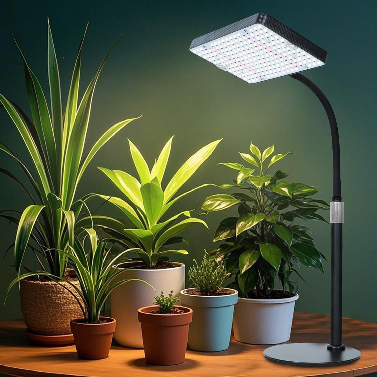 FECiDA compact unit powers from one outlet for simple, tidy setups.