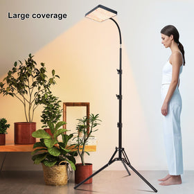 Daisy chain capable setup connects multiple lights for expanded coverage