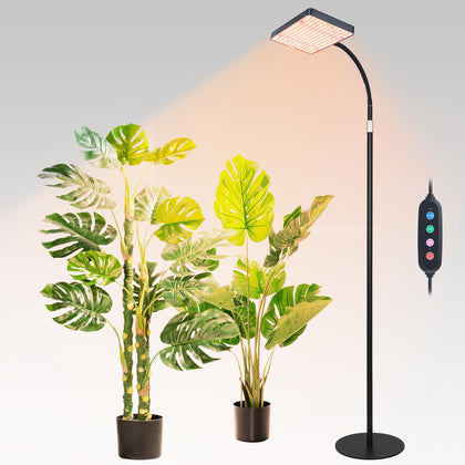 FECiDA floor lamp grow light setup for efficient indoor plant care.