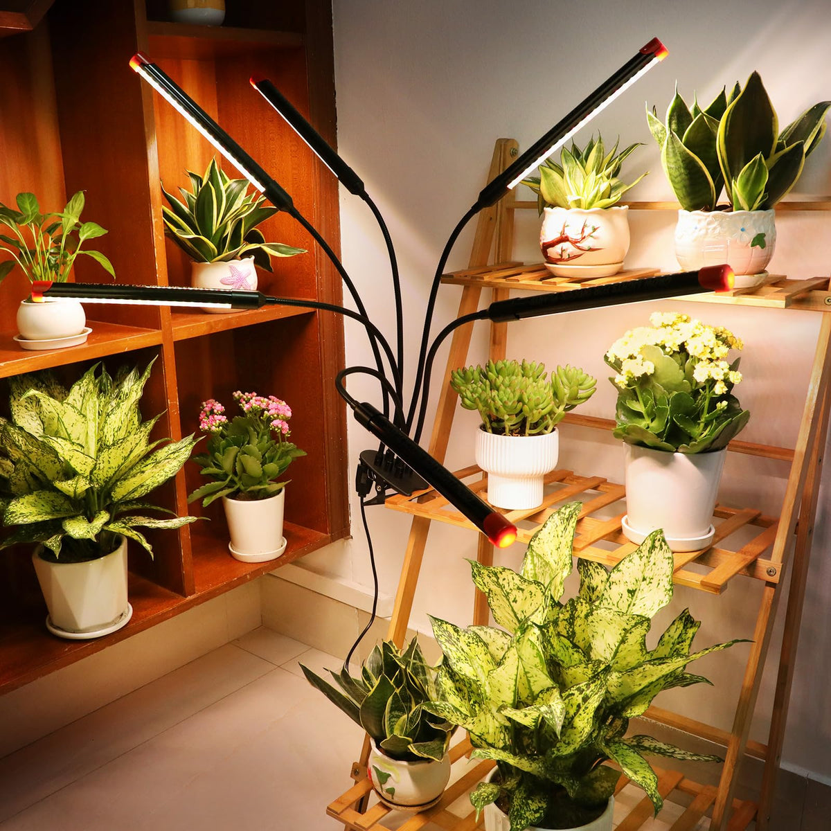FECiDA Gamechanger covers about 2x3 ft for multiple plants