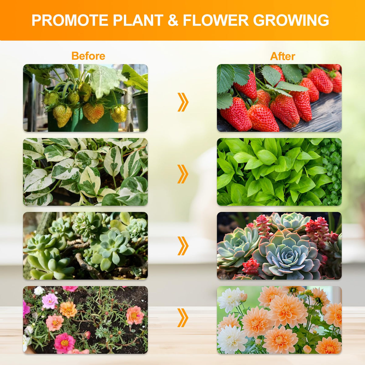 FECiDA height-adjustable stand lets you position light between seedlings and mature plants.