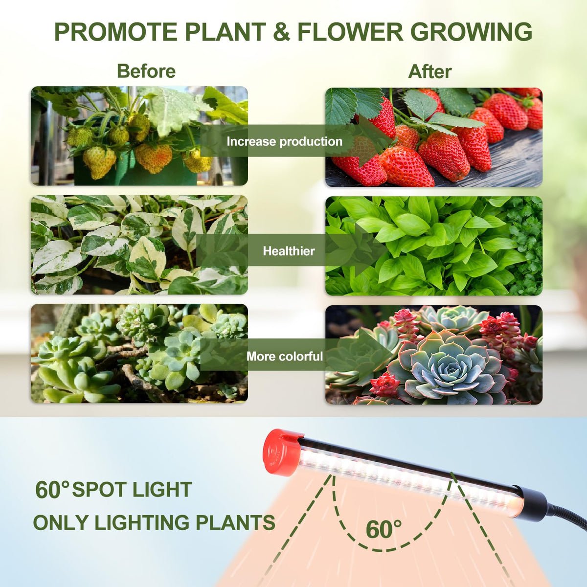 FECiDA indoor plants near windows receive extra light with this kit.