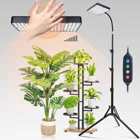 FECiDA Smart Control 25W grow light on stand illuminates indoor plants with compact daylight for healthy growth
