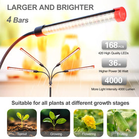 FECiDA 60-degree spotlight beam targets plant areas precisely