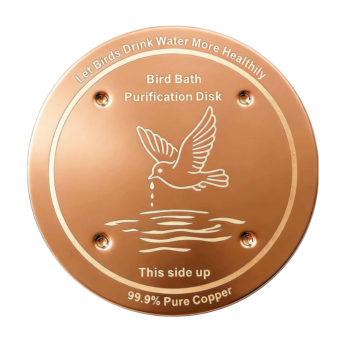 FeciFeco copper disk in water purifies birdbath naturally