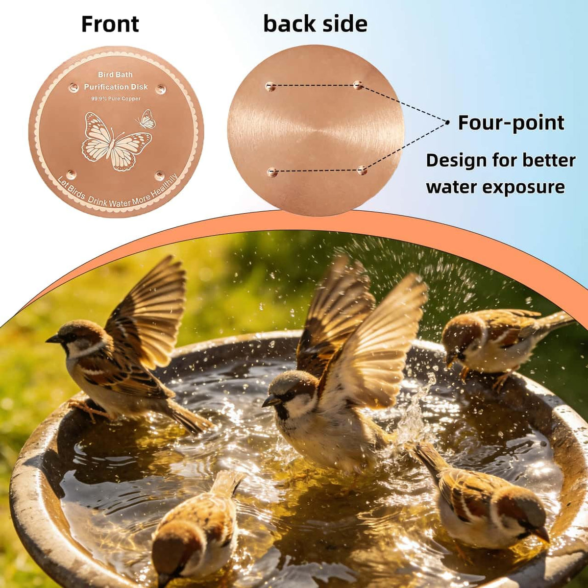 All-season purification disk maintains effectiveness year-round in non-metal bird baths.