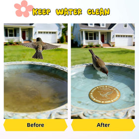 FeciFeco copper star disc placed in bird bath for debris reduction and clearer water