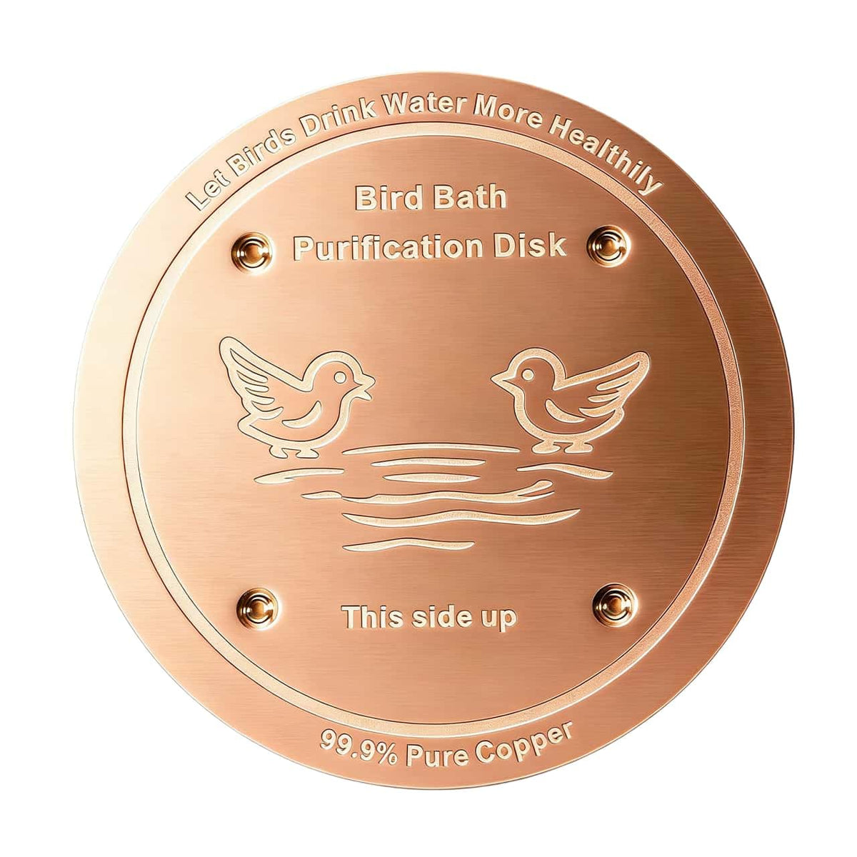 FeciFeco copper disk in a bird bath improving water clarity.