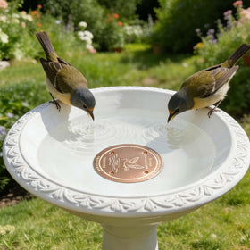 Easy installation with copper disk requires no electricity or ongoing maintenance.