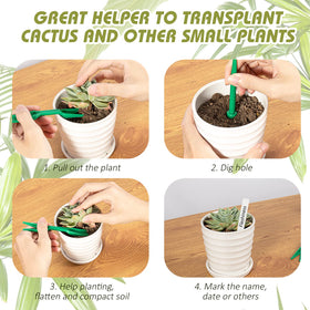 Fecsam seed spreader enables even spacing across garden beds.