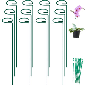 FEED GARDEN 24inch stake set stabilizing multiple plants in a bed for upright growth.